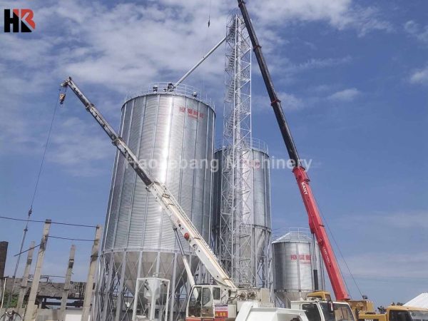 200 ton chicken feed