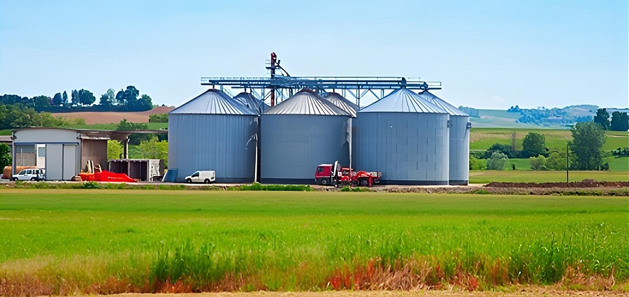Peanut grain silo