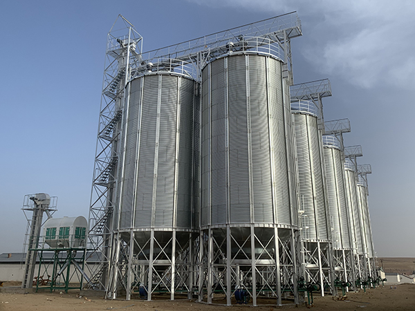 Soybean seed silo